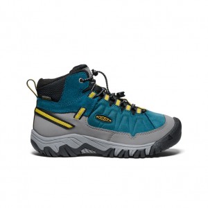 Blue Big Kids' Keen Targhee IV Waterproof Hiking Boots | APQ6912LU