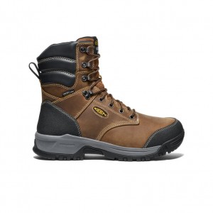 Brown Black Men Keen Evanston 8" Insulated Waterproof Work Boots | BVQ6596YS